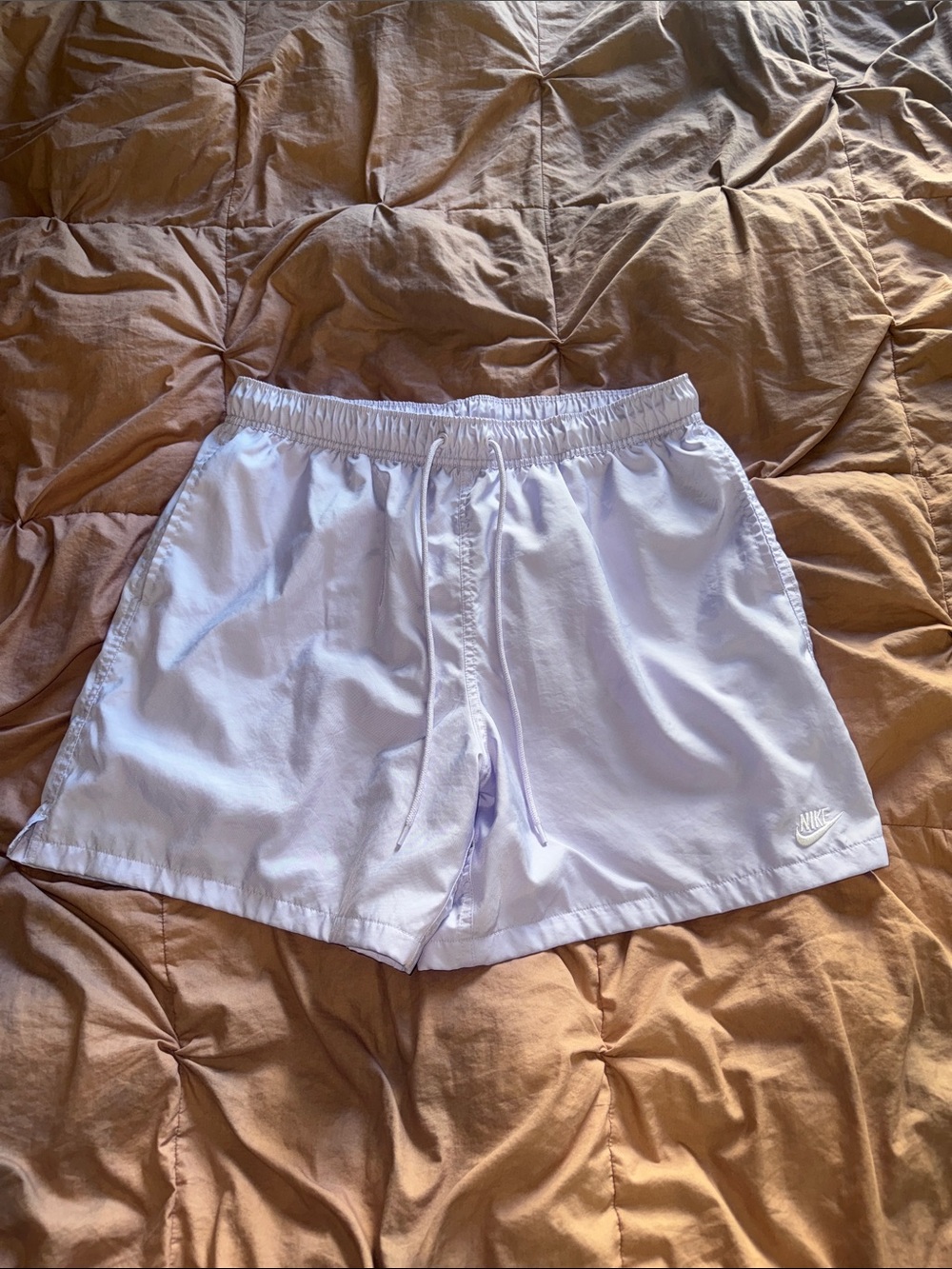 Nike Men's Pale Lavender Athletic Shorts